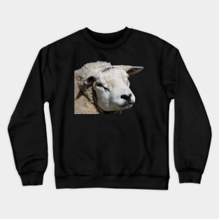 Very Pretty Sheep Crewneck Sweatshirt